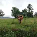 Appartement 371 - Budte Na Horach Jako Doma *
