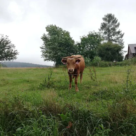 Appartement 371 - Budte Na Horach Jako Doma *