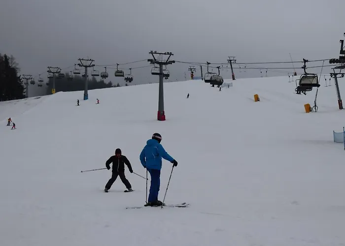 371 - Buďte Na Horách Jako Doma * Destne v Orlickych horach